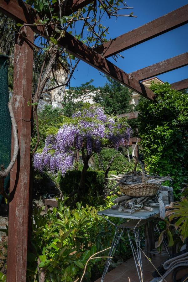 Villa Rene Koskinou  Exteriér fotografie